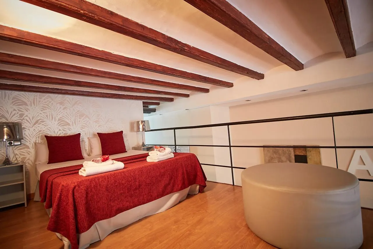 Alcam Loft Grassot Apartment Barcelona